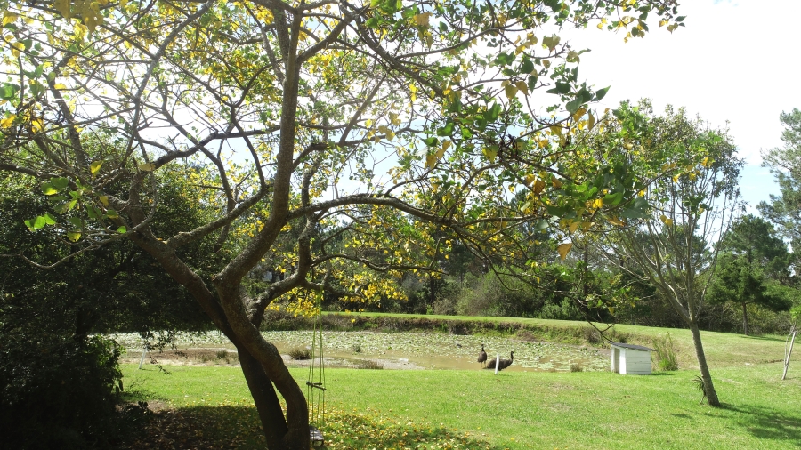 To Let 5 Bedroom Property for Rent in Rheenendal Western Cape